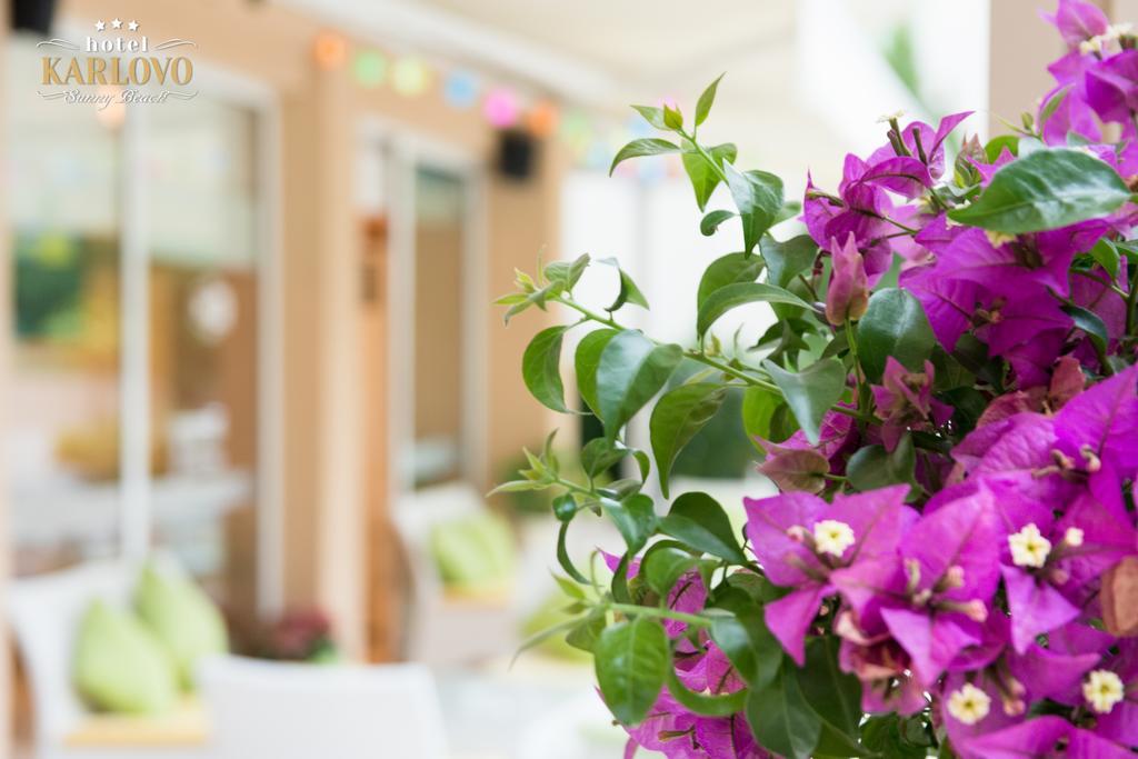 Karlovo Hotel Sunny Beach Buitenkant foto